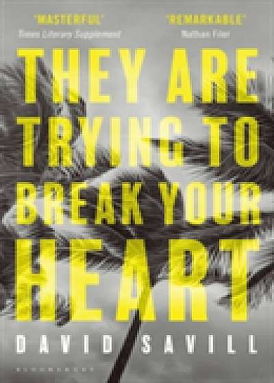 Coperta cărții They are Trying to Break Your Heart de David Savill