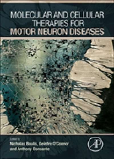 Coperta cărții Molecular and Cellular Therapies for Motor Neuron Diseases