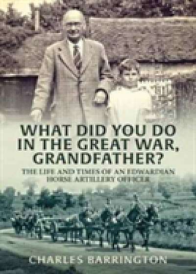 What Did You Do in the Great War, Grandfather?