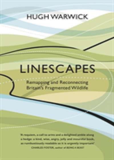 Linescapes