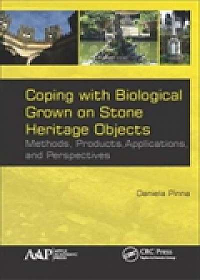 Coping with Biological Growth on Stone Heritage Objects