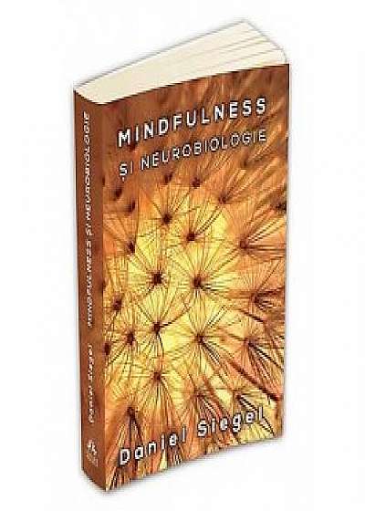 Mindfulness si neurobiologie