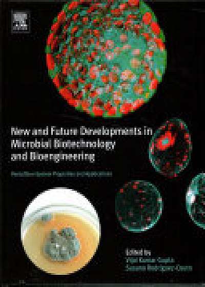 New and Future Developments in Microbial Biotechnology and Bioengineering