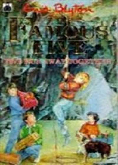 Famous Five: Five Run Away Together