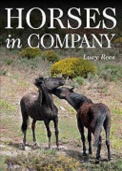 Coperta cărții Horses in Company de Lucy Rees