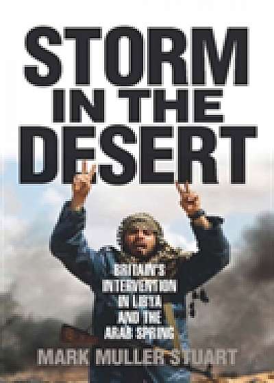 Storm in the Desert