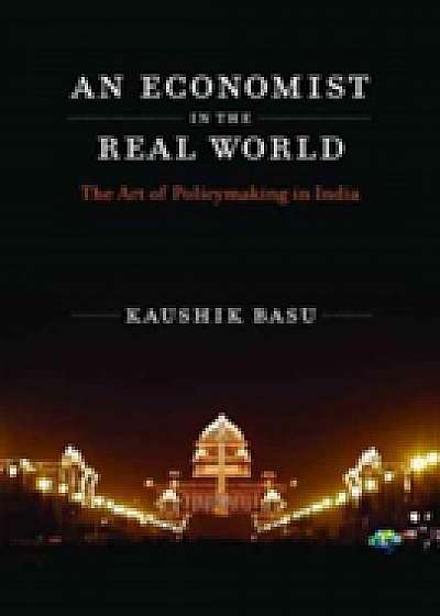 An Economist in the Real World