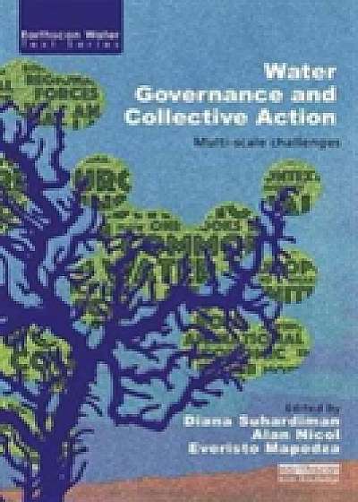 Coperta cărții Water Governance and Collective Action