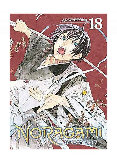 Noragami: Stray God Vol. 18