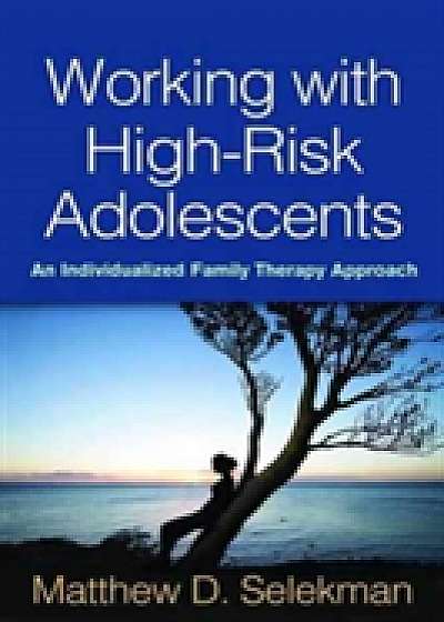 Coperta cărții Working with High-Risk Adolescents