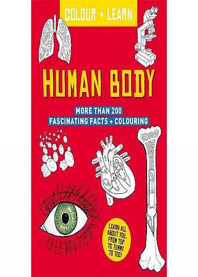 Colour + Learn: Human Body