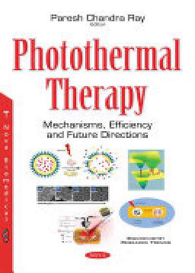 Coperta cărții Photothermal Therapy
