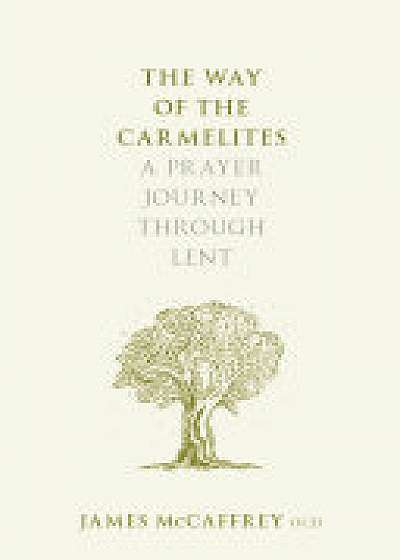 Coperta cărții The Way of the Carmelites de James Mccaffrey