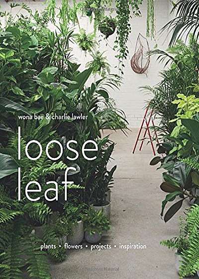 Loose Leaf