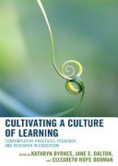 Coperta cărții Cultivating a Culture of Learning