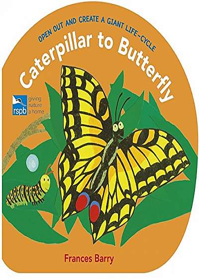 Caterpillar to Butterfly - Open Out and Create a Giant Life-Cycle