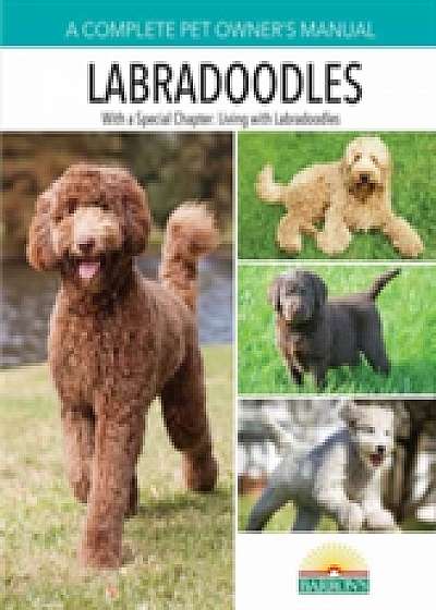 Labradoodles