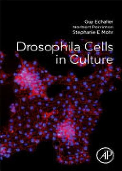 Coperta cărții Drosophila Cells in Culture de Guy Echalier