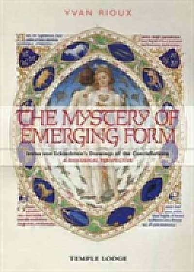 The Mystery of Emerging Form
