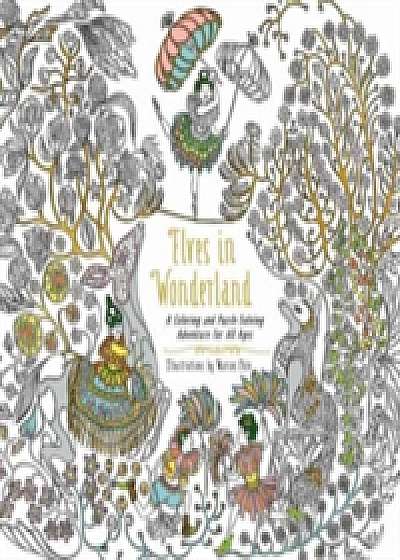 Coperta cărții Elves in Wonderland de Marcos Chin