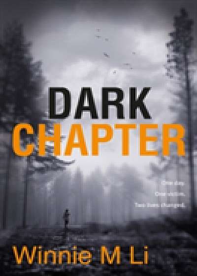 Dark Chapter