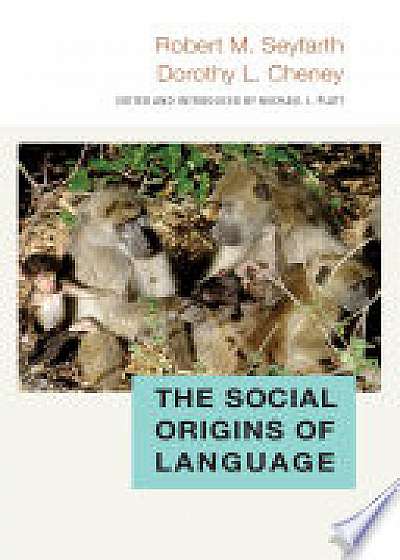 The Social Origins of Language