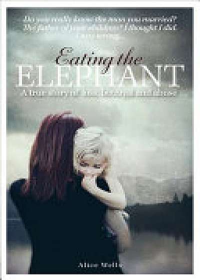 Eating the Elephant