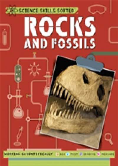 Science Skills Sorted!: Rocks and Fossils