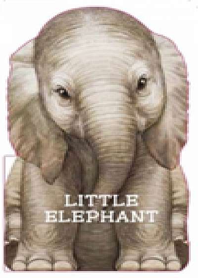 Little Elephant