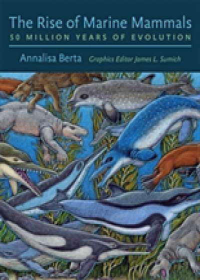 Coperta cărții The Rise of Marine Mammals