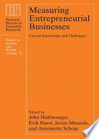 Measuring Entrepreneurial Businesses