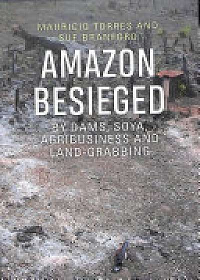 Amazon Besieged