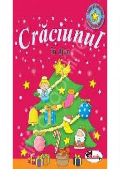 Coperta cărții Craciunul - In Ajun