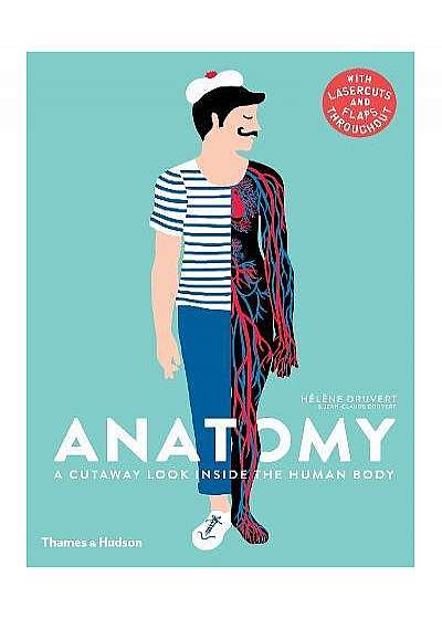 Anatomy - A Cutaway Look Inside the Human Body