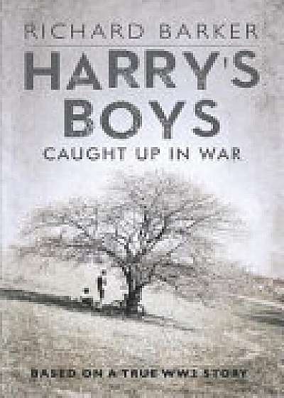 Harry's Boys