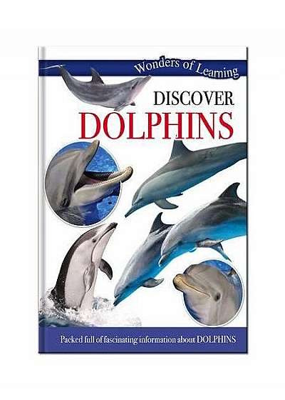 Discover Dolphin