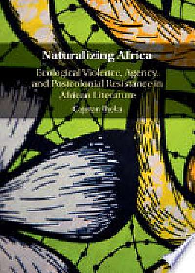 Coperta cărții Naturalizing Africa