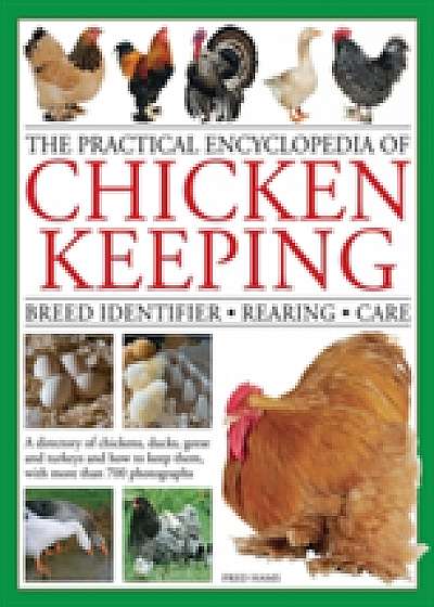 Practical Encyclopedia of Chicken Keeping