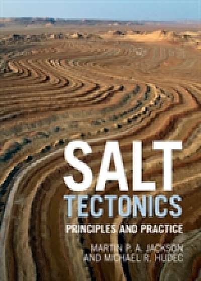 Coperta cărții Salt Tectonics