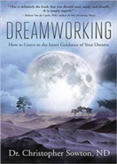 Coperta cărții Dreamworking de Christopher Sowton