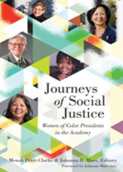 Coperta cărții Journeys of Social Justice