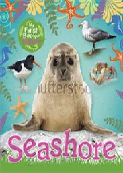 My First Book of Nature: Seashore