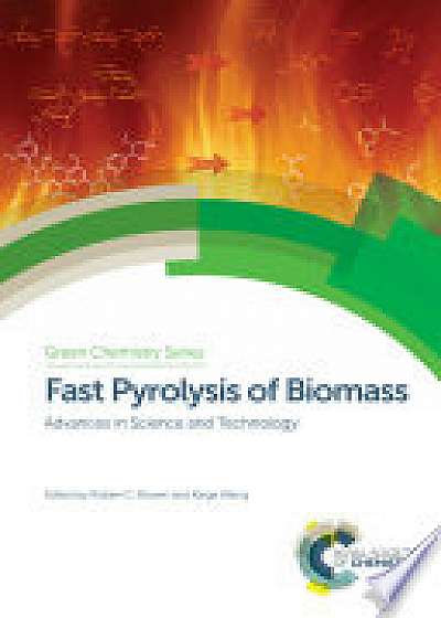 Fast Pyrolysis of Biomass