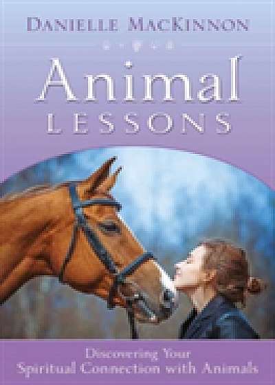 Animal Lessons