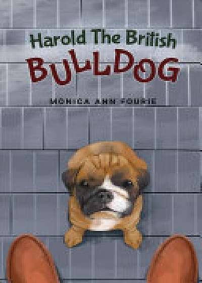 Harold The British Bulldog