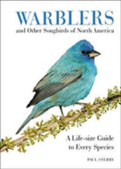 Warblers and Other Songbirds of North America