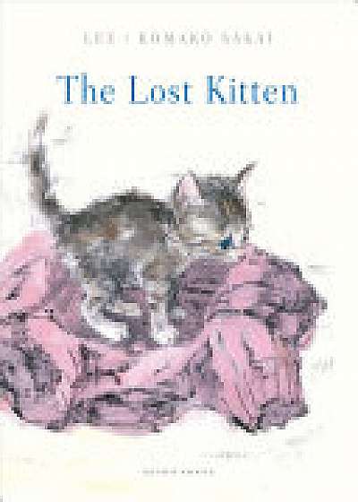 Lost KItten