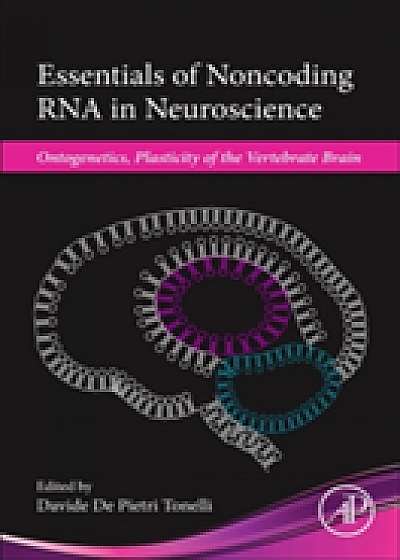 Coperta cărții Essentials of Noncoding RNA in Neuroscience