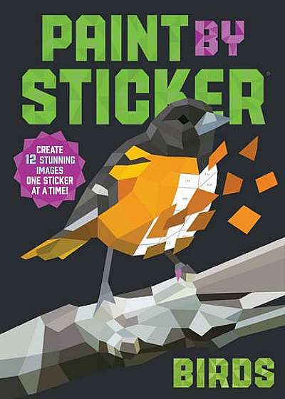 Paint by Sticker - Birds