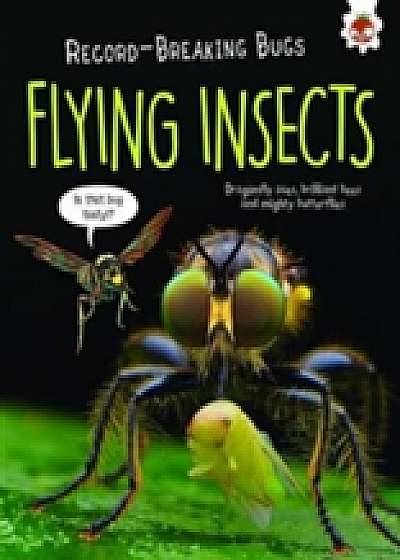 Flying Insects - Record-Breaking Bugs